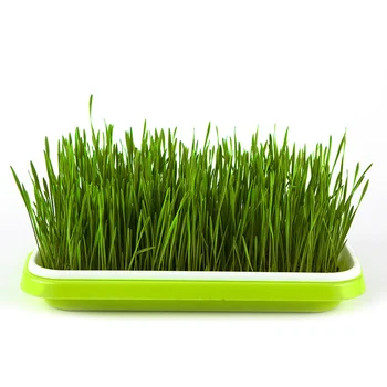 

Plastic Seedling Tray Double-layer Bean Sprouts Grow Tray Hydroponic Flower Basket Home Garden Nursery Pots UND Sale