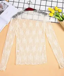 

Perspective BBY of Female Fishing Net Garment with Mesh Bottom Shirt Sexy Small Collar Long Sleeve Lace Shirt