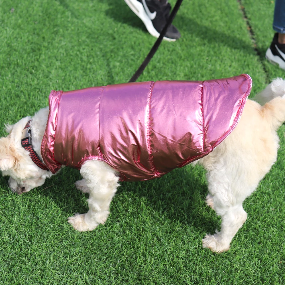 Теплое пальто для французского бульдога, водонепроницаемая одежда для маленьких собак, Одежда для животных для щенков, куртка для собак, зимняя одежда для маленьких и средних собак, чихуахуа