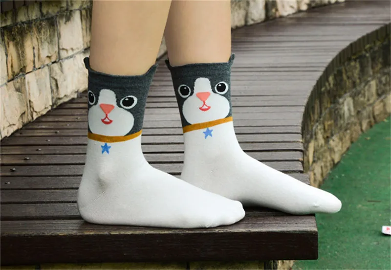 4115398950_520631427