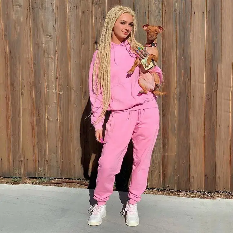 

Autumn Set Casual Solid Tracksuit Two Piece Suit Hooded Women Hoodies Tops And High Waist Loose Pants Set Outfit