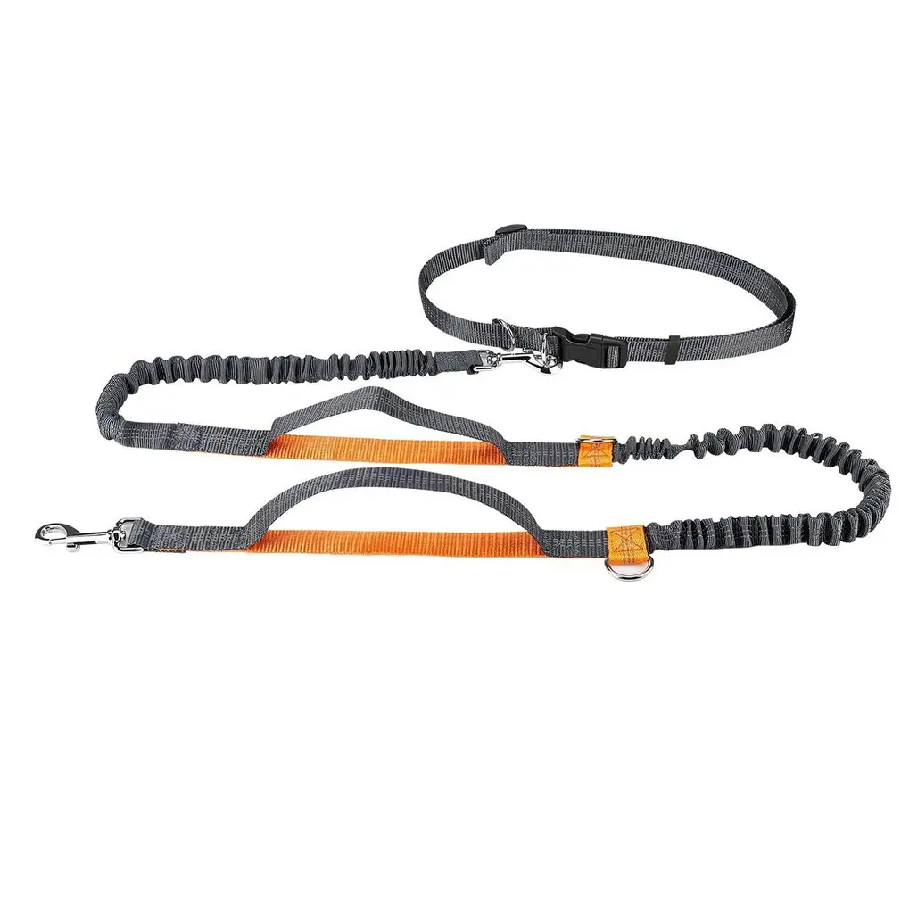 Hands Free Retractable Dog Leash With Dual Bungees For Puppy Small