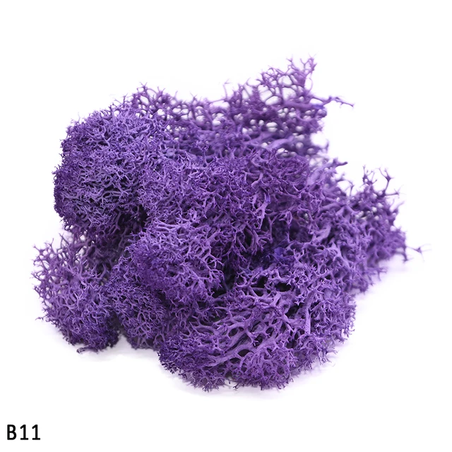 Image 17