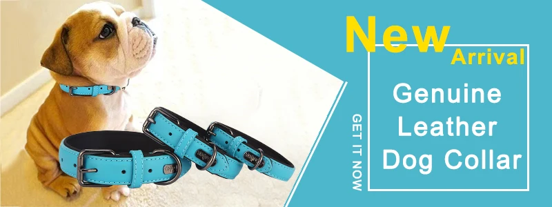 genuine leather collar-2