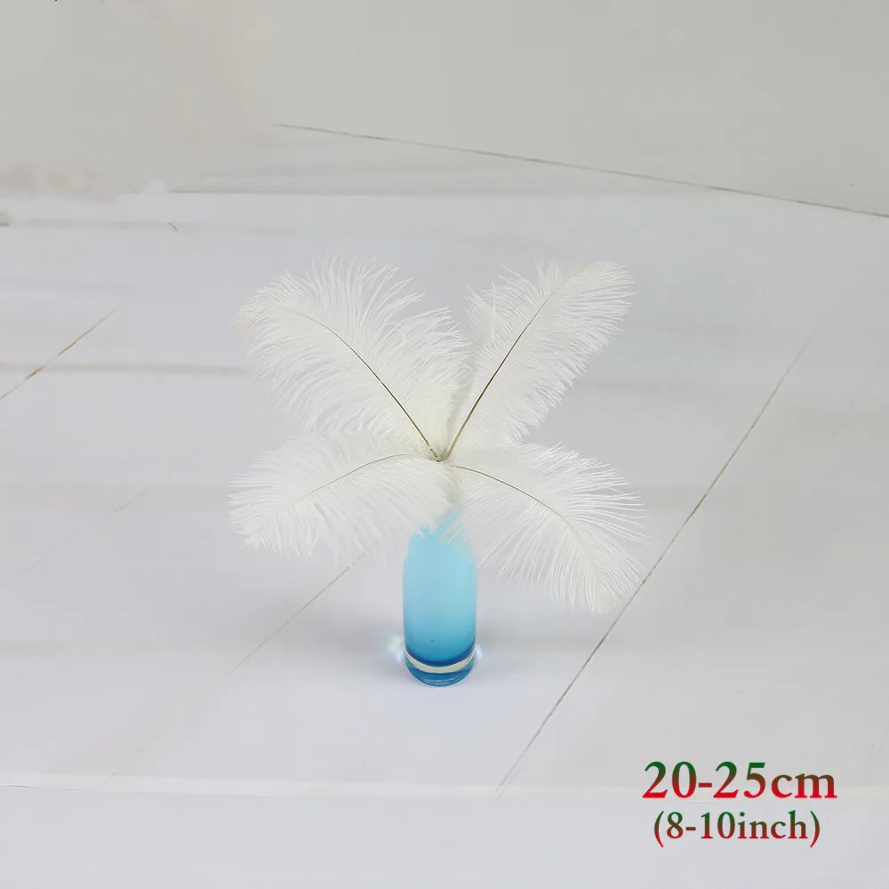白色 20-25cm 鸵鸟毛 2_副本
