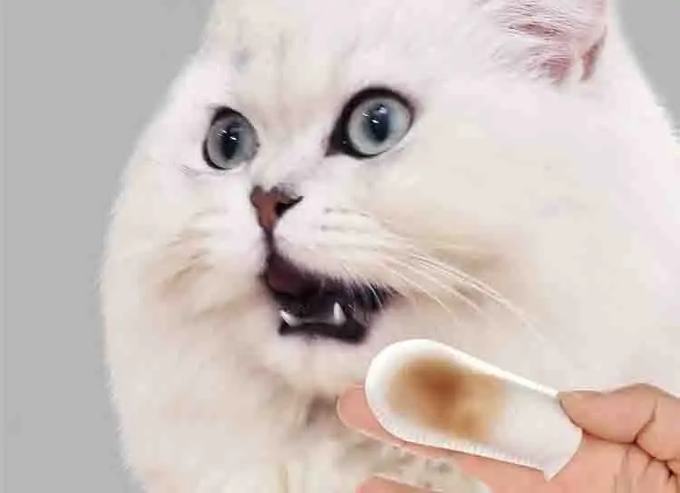 9906418277_852043071