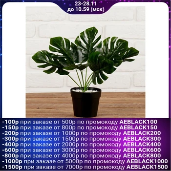 

Bush in the pot "monster" 9,5*21 cm 4457705