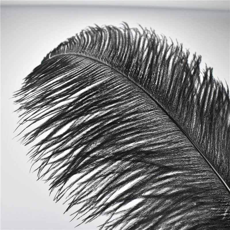 20Pcs/Lot Black Feathers for Crafts Ostrich Rooster Goose Feather Natural  Pluma for DIY Handicraft Accessories Jewelry Creation