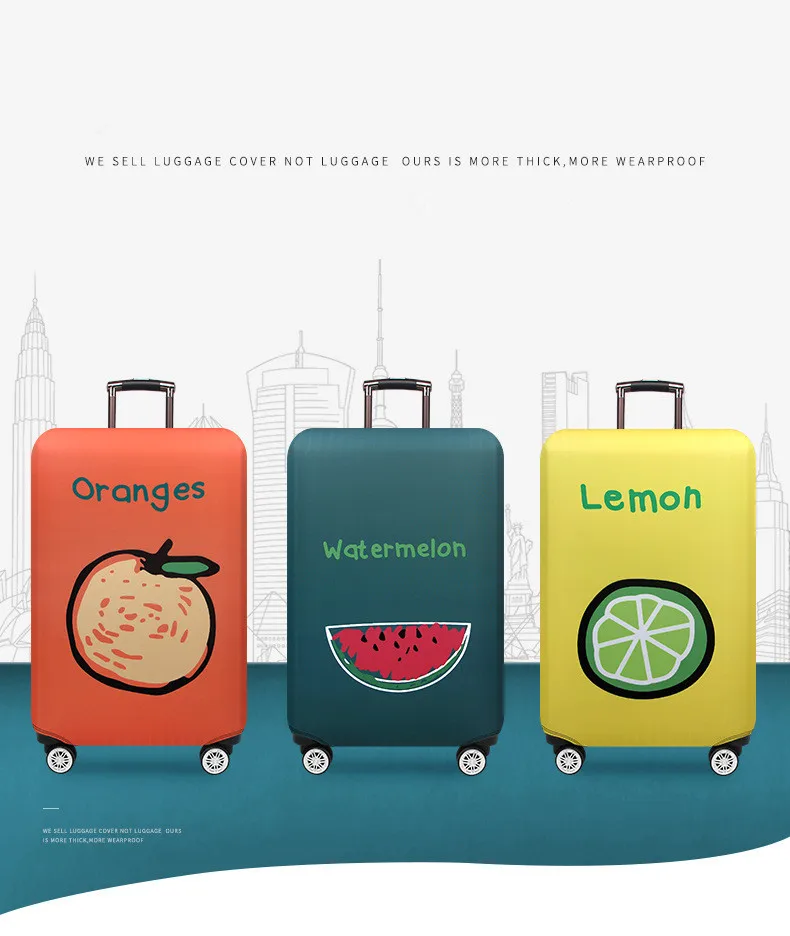 11431202408_2009755538