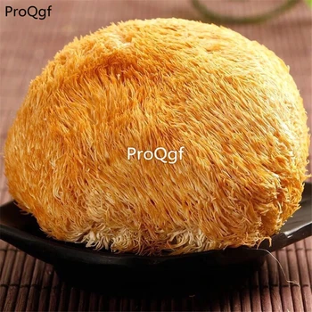 

Ngryise 300gram a set Lions Mane Hericium Erinaceus Mushroom