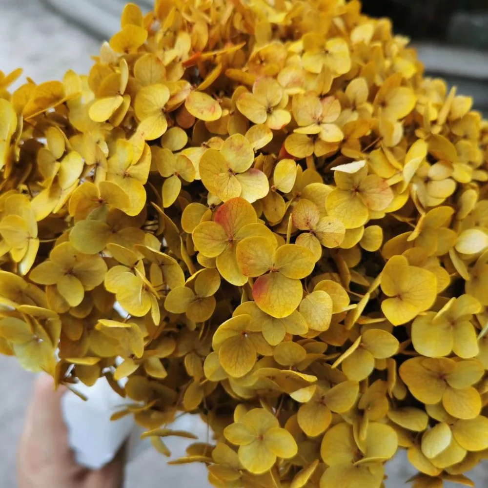 897218bc7adcd53b791a5739740d564