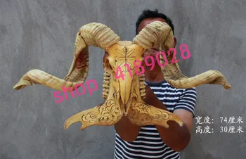 

100% genuine, prairie sheep, goat skull 9#, craftwork ornament