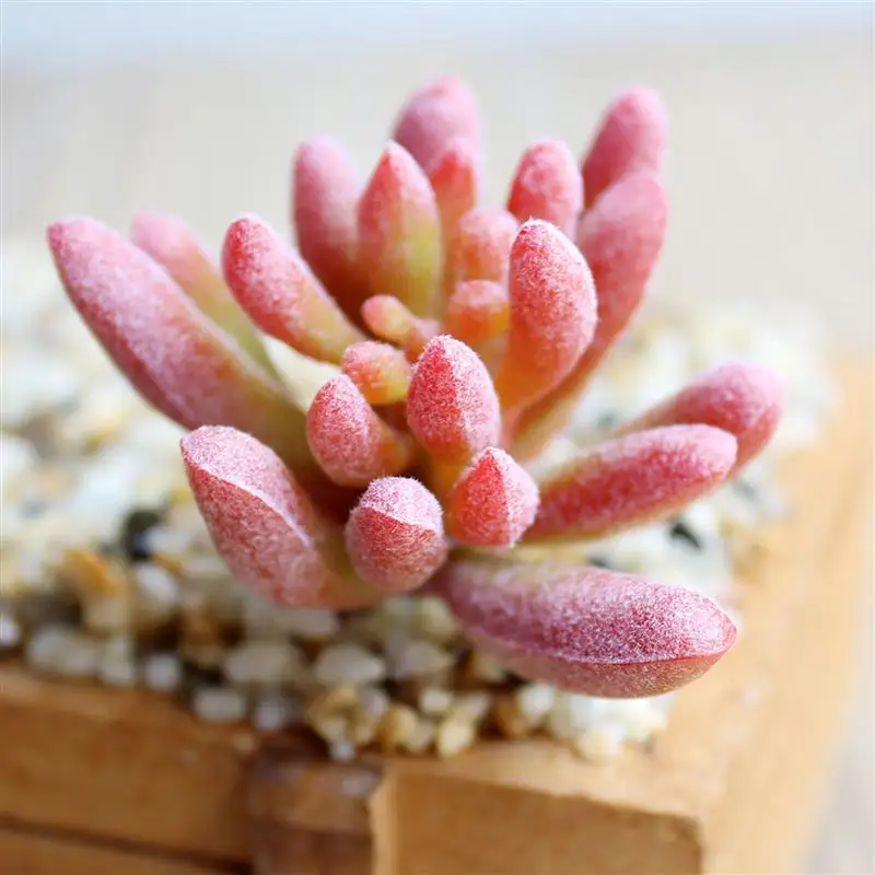 Artificial Succulents Green Flocking Plant Bonsai Desktop Fake Plants Valentine Day Christmas Wedding Decoration Plante