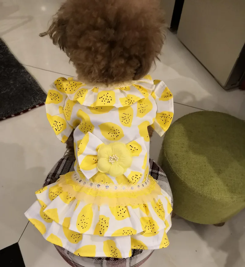 

2019 Spring And Summer New Style Lemon Pet Clothes qing lv gou Dog Apparel Pet Supplies