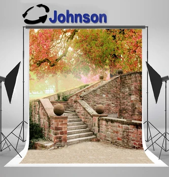 

Discount Old Staircase Entrance Brick Stone Wall Autumn Tree Maples photography backgrounds Computer print scenic backdrops