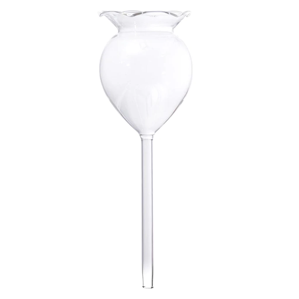 6Pcs Plant Watering Device Indoor Automatic Flower Glass Garden Sprinkler Transparent Mini Durable Clear Glass Aqua Bulbs