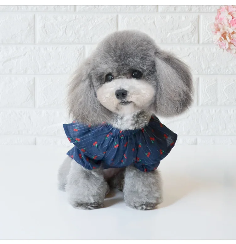 12130146315_1413936237