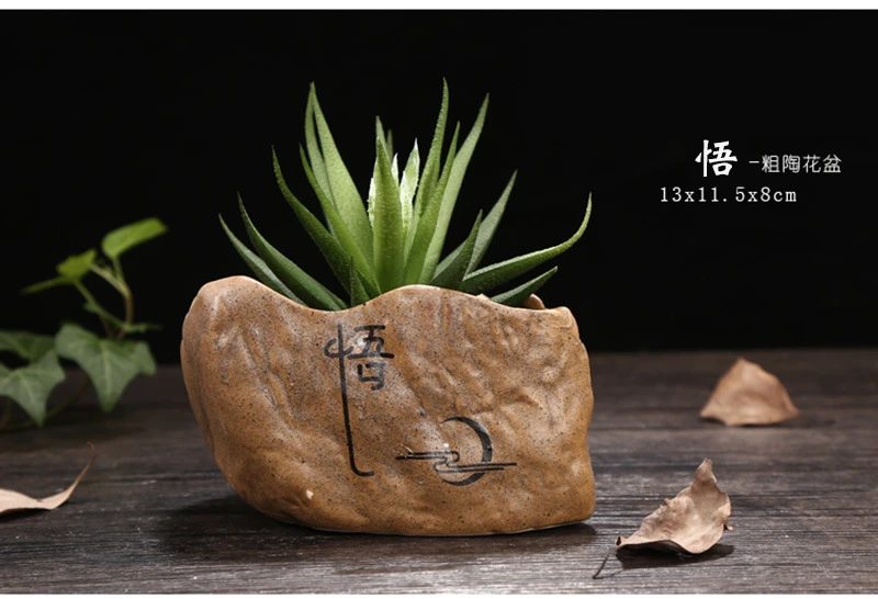 Imitation Stone Ceramics Buddhist Mood Meaty Botany Crude Tao Creativity Green Plant Potted Plant Flowerpot