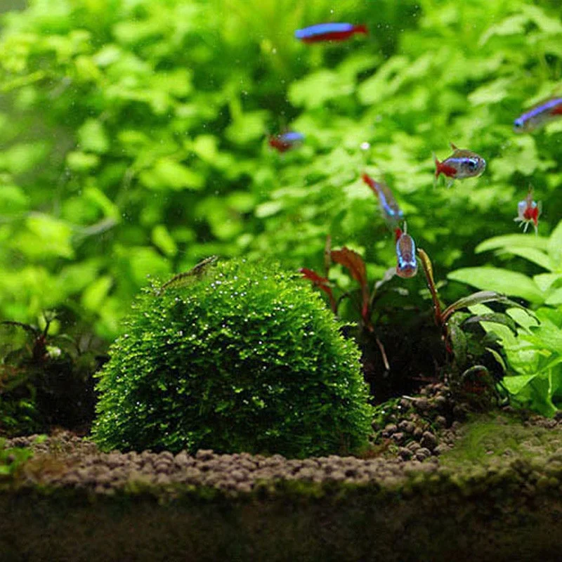 2020 Plastic Aquarium Decoration Live Plants Fish Tank Media Moss Ball Filter for Fish Tank Aquatic Pets Mineral Balls Ornaments