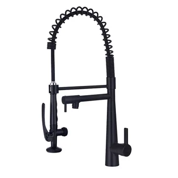 

Blackened Spring Kitchen Faucet Pull Out Side Sprayer Double Nozzle Single Handle 360 Degree Rotating Faucet Sink Faucet