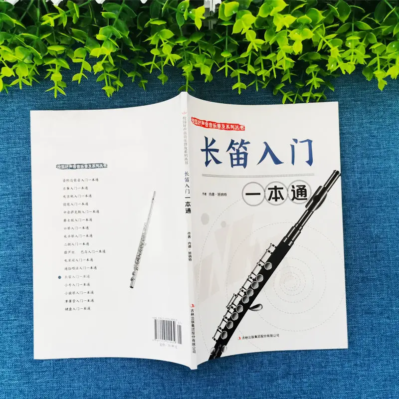 Рисунок 6 - 3 книги/набор Guzheng + флейта