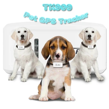 

100% Original TKSTAR TK909 Pet GPS GSM Mini Tracker Locator GPS Tracking Device with Collar for Dog Cat Free Tracking Realtime