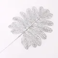 Silver Turtle leaves
