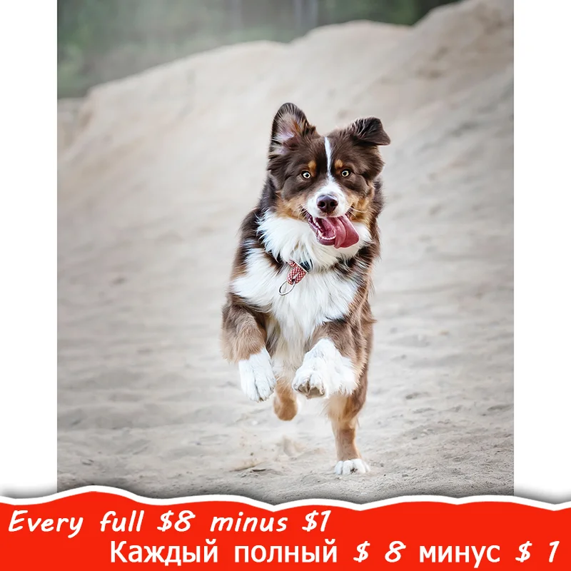 

Dog Diamond Painting Happy Shepherd Pet 5D DIY Full Square Round Diamond 3D Embroidery Cross Stitch Mosaic Home Decoration