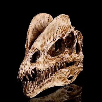 

Movie Props Dinosaur Skeleton Others Decor Model Skull Fossil Simulation Jurassic Garden Home Decals Decoration Dinosaur Skull