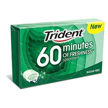 

TRIDENT 60 MINUTES SPEARMINT (20 gr X 16)