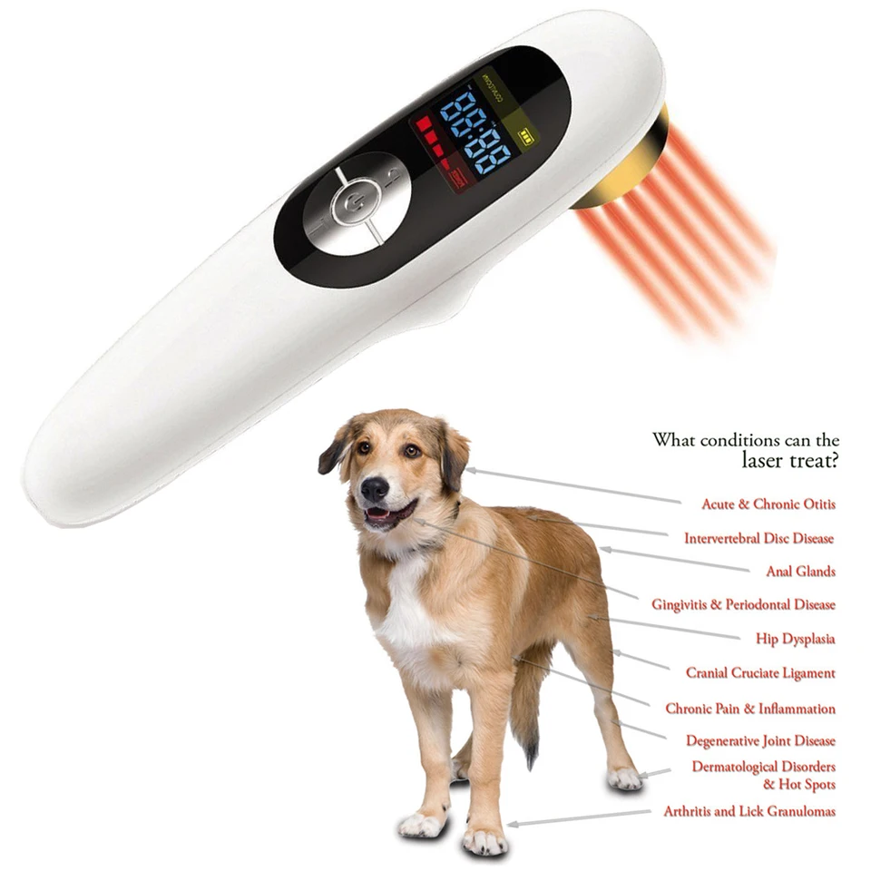 healing pets animal clinic