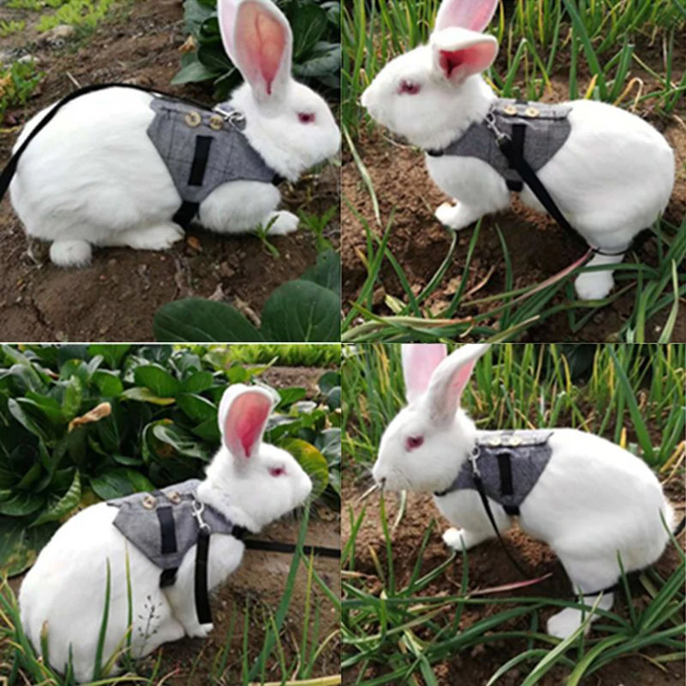 小さなペットのウサギのチェック柄スーツハーネス服ベスト胸ストラップリーシュ牽引ロープ安全快適なハーネスとリーシュ。| | - AliExpress