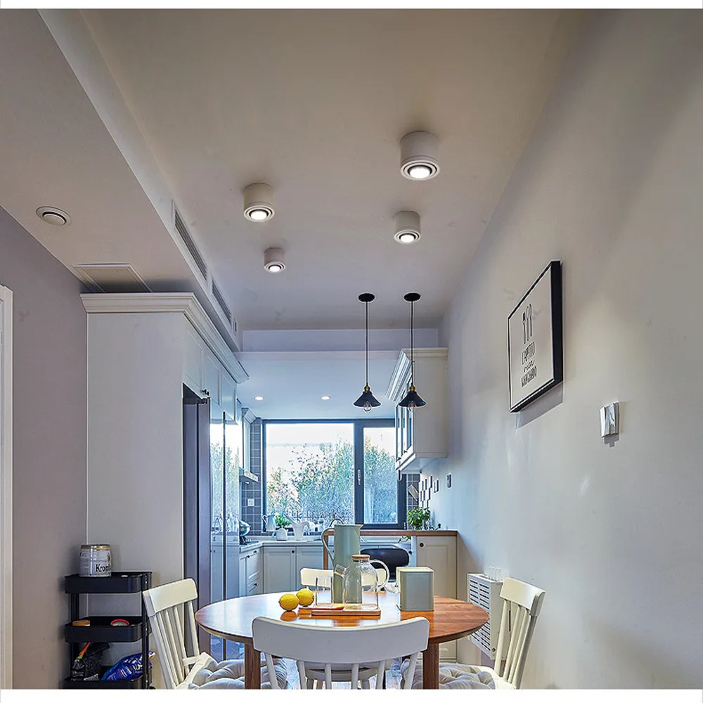 1000 X 1000 COB Downlight f