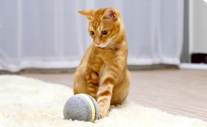 Взрывной Pet прыгающий шар USB электрическая машинка для стрижки животных светодиодный прокатки флэш мяч, забавные игрушки домашнего питомца собаки кошки игрушки