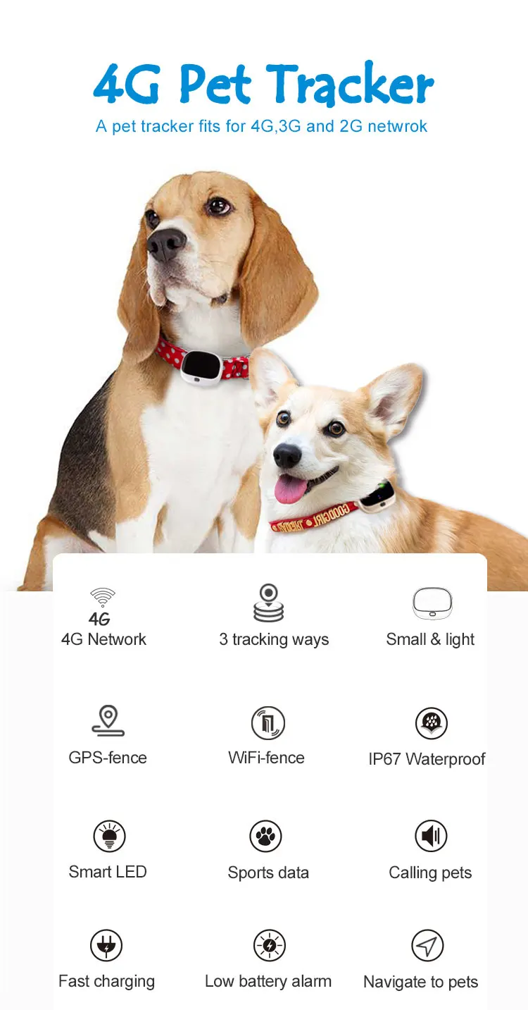 4G gps трекер для домашних животных RF-V43 мини gps трекер для домашних животных 4G LTE 3g WCDMA 2G GSM Лучший gps трекер для собак с бесплатным приложением водонепроницаемый IP67