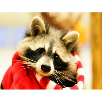 

Cover (plaid) fleece "Little Raccoon"