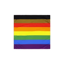 

55*55cm Pansexuality love flag