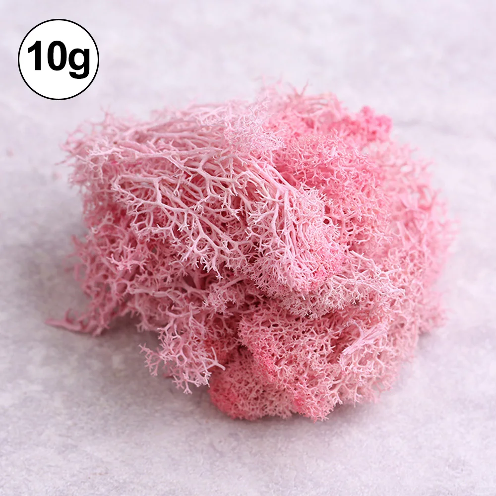 Pink Консервированный олень мох декоративный бриофит трава для DIY микро пейзаж эко бутылки украшения мебели 10 г - Цвет: Pink