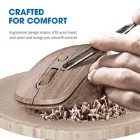 Computer Peripherals