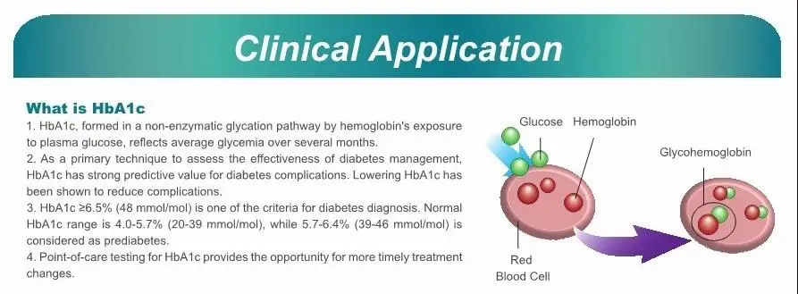 BIOHERMES Rapit тест карманный портативный HbA1C Анализатор метр группа крови тест ing Оборудование Глюкозы Тест-Полоски сахар тест