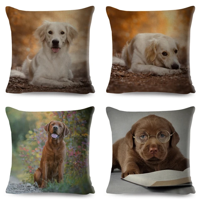 Brown Labrador Pillowcase Decor Cute Dog Pet Animal Printed Cushion Cover Polyester Pillow Case 2