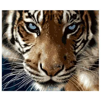 

Frameless Tiger DIY Digital Oil Painting By Numbers Canvas Wall Picture Hand Painted Decor Wall Artwork for Adults Beginner