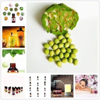 

10ml Pure Essential Oils for Aromatherapy Diffuser Air Fresh Tea Tree Eucalyptus Lotus Hair Care Oil