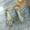 1 Pcs Real Complete Fox/Mink skeleton specimen. Real animal bone. Not Installed.DIY 4