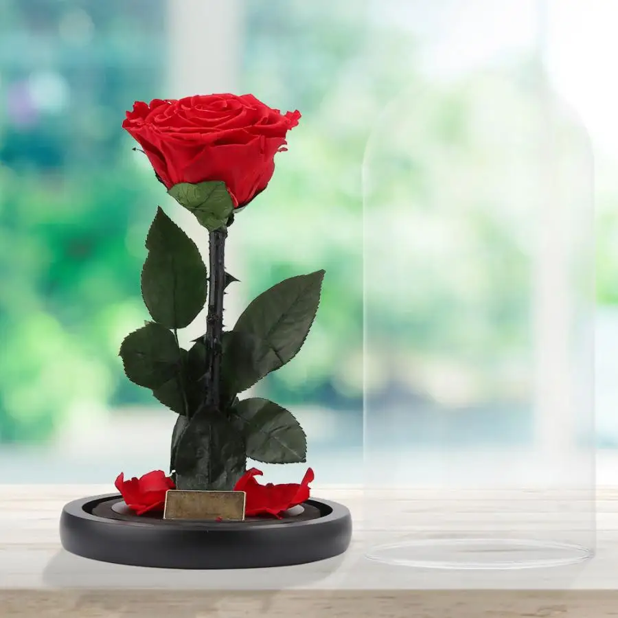 Forever Rose Flower, стеклянная крышка, Подарочная коробка, праздничная, консервированная, бесморская, свежая роза в стекле, подарки для влюбленных, для рукоделия, букет
