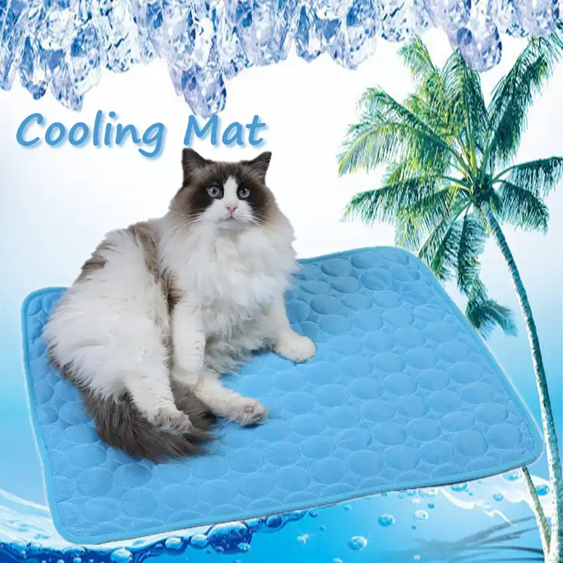 mats for cats