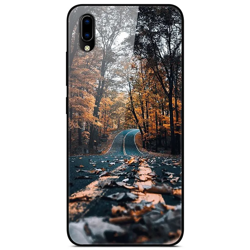 54 Роскошный чехол для VIVO Y91C, закаленное стекло, силиконовый чехол для телефона VIVO Y91C Y91 C Y93 Y91i, чехол s для Vivo Y91C Y 91C - Цвет: 54