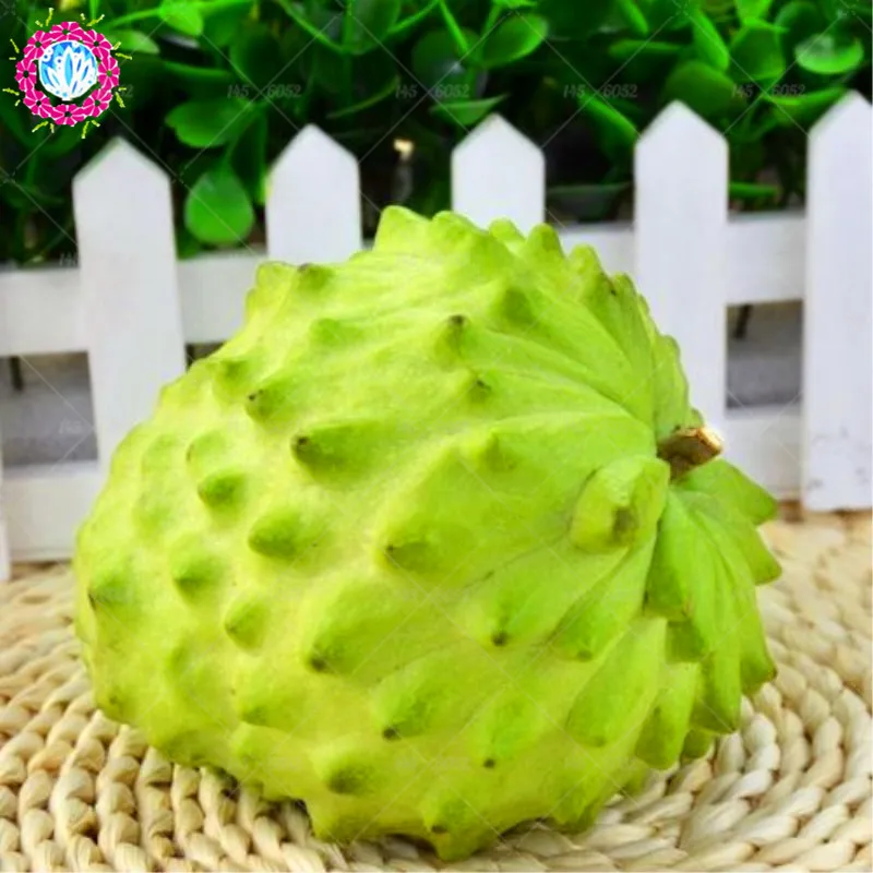10 шт./пакет Sweetsop бонсай фруктовое дерево тропический сахар-apple Фрукты многолетние Annona сквамоза горшочные растения для дома садовые растения