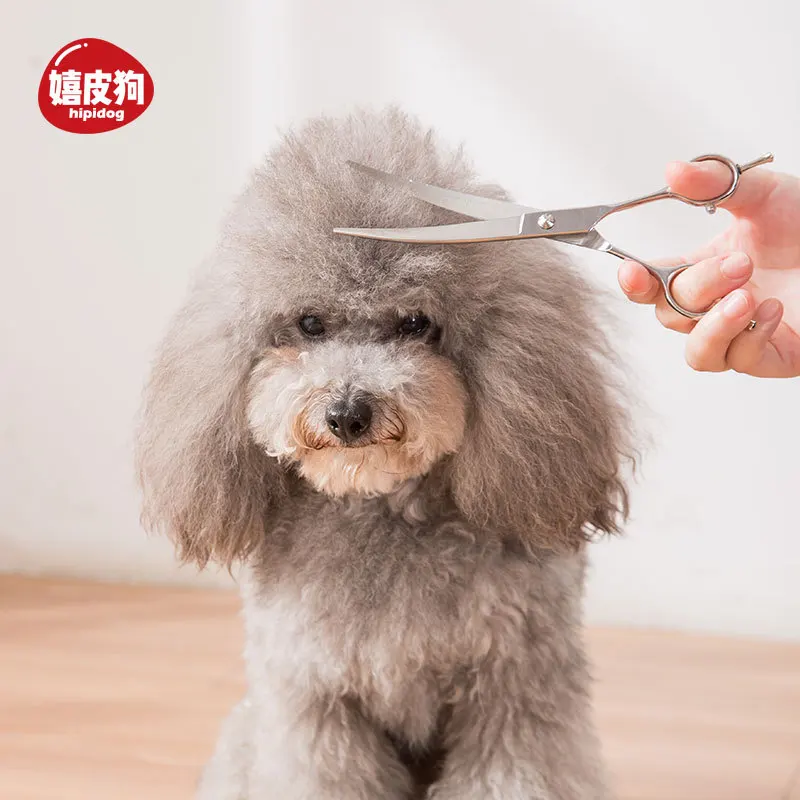 

Teddy Dog Shearing Scissors Profession Pet Cleaning Beauty Tools Set Pet Straight Scissors Bending Shear Set