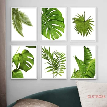

Nature Monstera Banana Palm Leaf Plant Wall Art Canvas Painting Nordic Posters And Prints Wall Pictures For Living Room Decor
